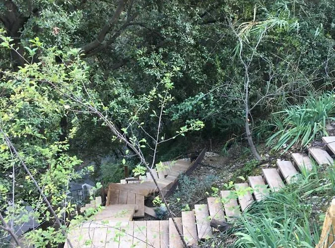Chalet Dans Les Arbres